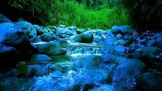 🍃 Gentle Riverside Flow ASMR Sounds for Deep Sleep, Relaxation & Calm Focus