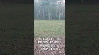 PATTERN A buck on 2 photos #hunting #shorts