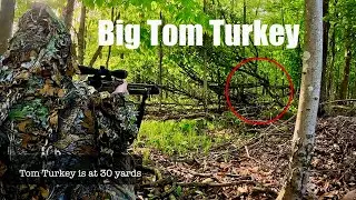 NY Spring Turkey Hunting with Ryan Stevens!