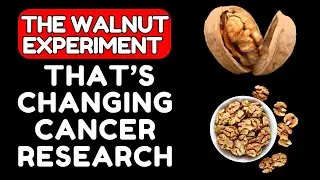 The Walnut Experiment That&rsquo;s Changing Cancer Research