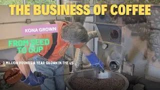 Hawaii Coffee Farms: A Taste of Paradise - How Kona roasts three million pounds of coffee annually.