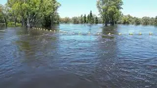 MIldura Floods 2022 - River Scene & Requests