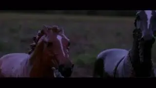 { Trepidation } Breyer Movie Test (Epilepsy Warning!)