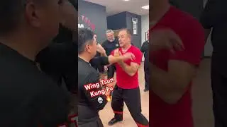 Мастер Вин Чун Чи Сао! 🥋💪 Плавно, адаптируйся, бей! #Вин Чун #Чи Сао #Боевые Искусства #Кунгфу
