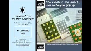 Hoe maak je een kaart met verborgen pop-up - Stampin' Up! 