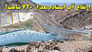 موج تازه بارندگی | کاشت درختان کوهی | بند همبستگی سنگجوی لومان 