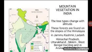 Mountain Vegetation of India