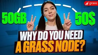 This App Pays You Crypto For Browsing The Internet (Seriously) | Grass Review