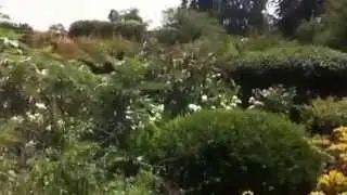 The Huntington Library, Art Collection and Botanical Garden (Part 1)