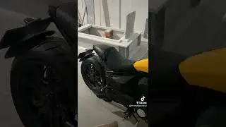 Regal raptor pilder 125