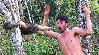 Bizarre Animals Caught Barehanded