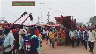 Adivasi Koya Tribe jathara videos // tribal culture and tradition festivals in telangana state