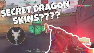 NEVER BEFORE SEEN SKINS IN VALORANT!