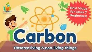 Carbon and Its Components | Class 7 Science | Exam Preparation