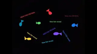 DAY 8 NEW FISH REVEAL 😃😃