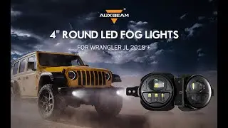 Auxbeam 4
