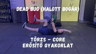 Halott bog&aacute;r Dead Bug - t&ouml;rzs - core erős&iacute;tő gyakorlat