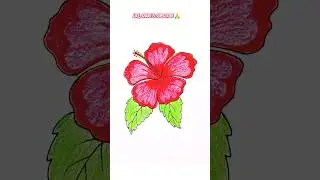 How to Draw a Hibiscus Flower Easy 🌺 #shorts #viral #drawing #trending