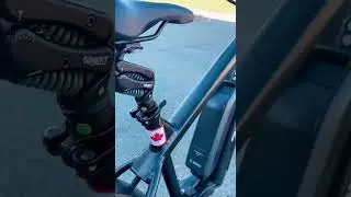 Proudly Canadian 🇨🇦