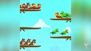 Bird Color Master Matching Games