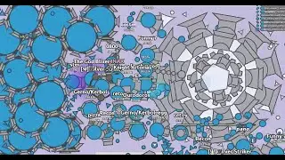 HUGE OMEGA CELESTIALS HAVE ARRIVED! - WOOMY ARRAS SURVIVAL TEST
