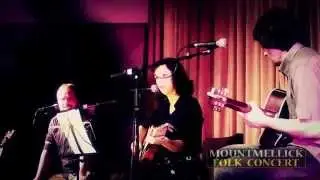 Elaine Lambe - Trouble In Our Fields (Nanci Griffith cover) - Mountmellick Folk Concert 2014