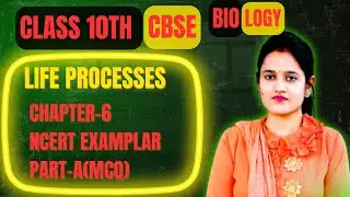 Life Processes Class 10 Biology MCQ Part A | NCERT Exemplar Chapter 6 | Board Exam Practice