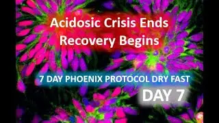 Day 7 of a 7 day dry fast