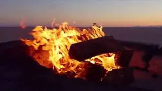 4K Beach Campfire Ambience | Soothing Fire Sounds for Sleep, Study & Relaxation 