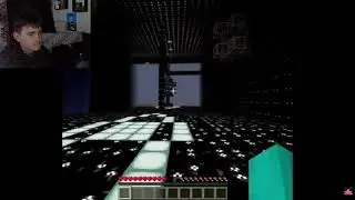 MInecraft ARG reaction