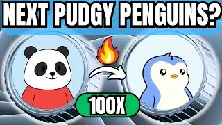 PANDU - COULD THIS TINY MEME COIN BE THE NEXT 100X PUDGY PENGUINS?
