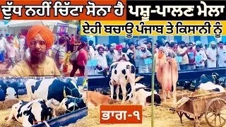 ਪਸ਼ੂ ਪਾਲਣ ਮੇਲਾ | Pashu Kisan Mela Ludhiana | PAU Kisan Mela 2024 | Animal Fare | Dairy Farming