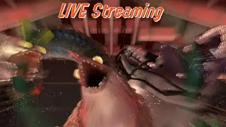 LIVE STREAM - Salmon Run with Spiff (Random Weapons!)