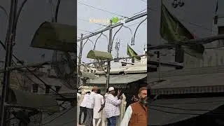 yah Khwaja Garib Nawaz ❤️&zwj;🩹👑🕊️