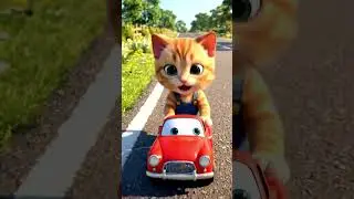 Smart Cat - What's unusual about the car?
