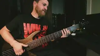Certian shade of green - Incubus bass cover 