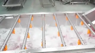 Bubble Fruit and Vegetable Washer | Industrial Tomato Cleaning Machine