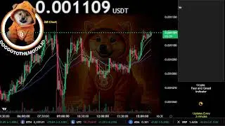 DOG (Bitcoin) Live Stream 24/7 | OFFICIAL DOG BITCOIN | DOG BTC | Trading Signals Chart