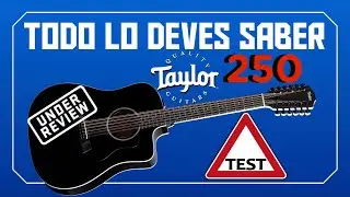 Review Taylor 250 BLK Deluxe