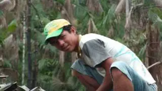 Northern Brazil  Snapshots
