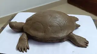 Clay Modelling Tortoise🐢 For LP Section