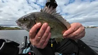 Sanctuary Lakes finesse bream fishing