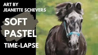 Grey pony portrait in soft pastels