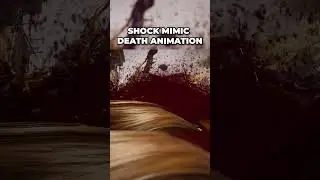 SHOCK MIMIC DEATH ANIMATION #codzombies #callofdutyzombies #blackops6 #bo6zombies #blackops6zombies