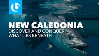 Blue Lagoon: What Lies Beneath - New Caledonia GT Popping and Jigging
