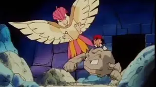 Pidgeotto Vs Geodude