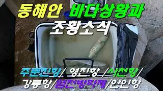 동해안 바다상황과 조황소식 (주문진항/ 영진항 /사천항/ 강릉항/ 염전방파제/안인항)