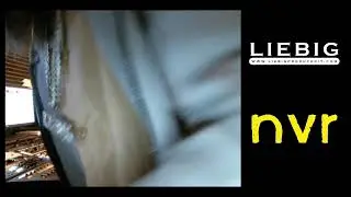 LIVE Session w/ Alvider