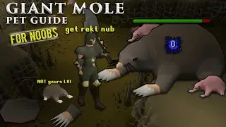 OSRS Giant Mole Guide For Noobs