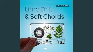 Citrus & Quiet Waves
